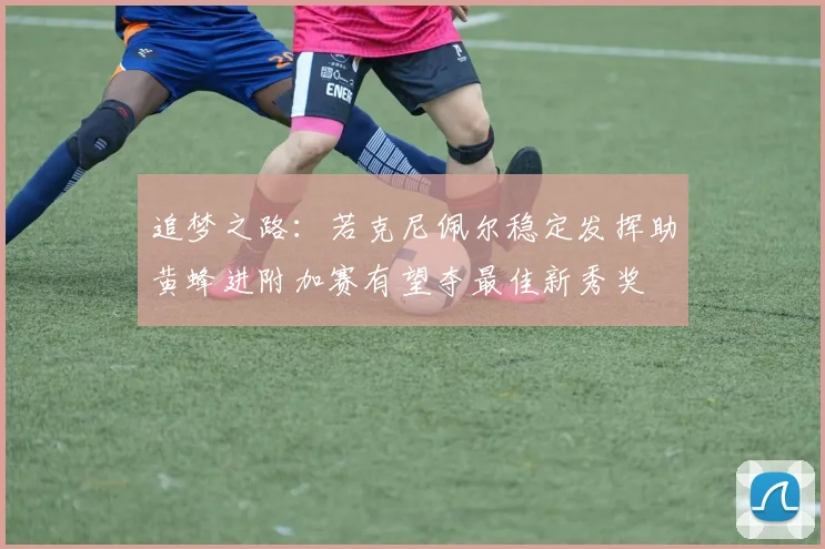 追梦之路：若克尼佩尔稳定发挥助黄蜂进附加赛有望夺最佳新秀奖