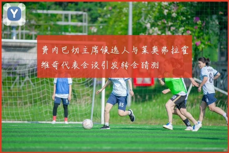 费内巴切主席候选人与莱奥弗拉霍维奇代表会谈引发转会猜测