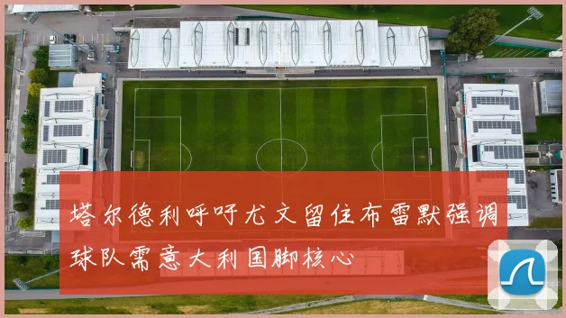 塔尔德利呼吁尤文留住布雷默强调球队需意大利国脚核心